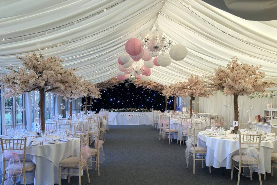 Marquee wedding