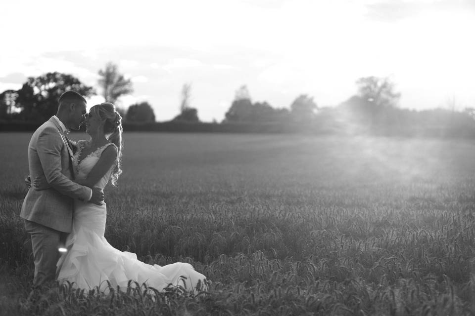 Sunset field view