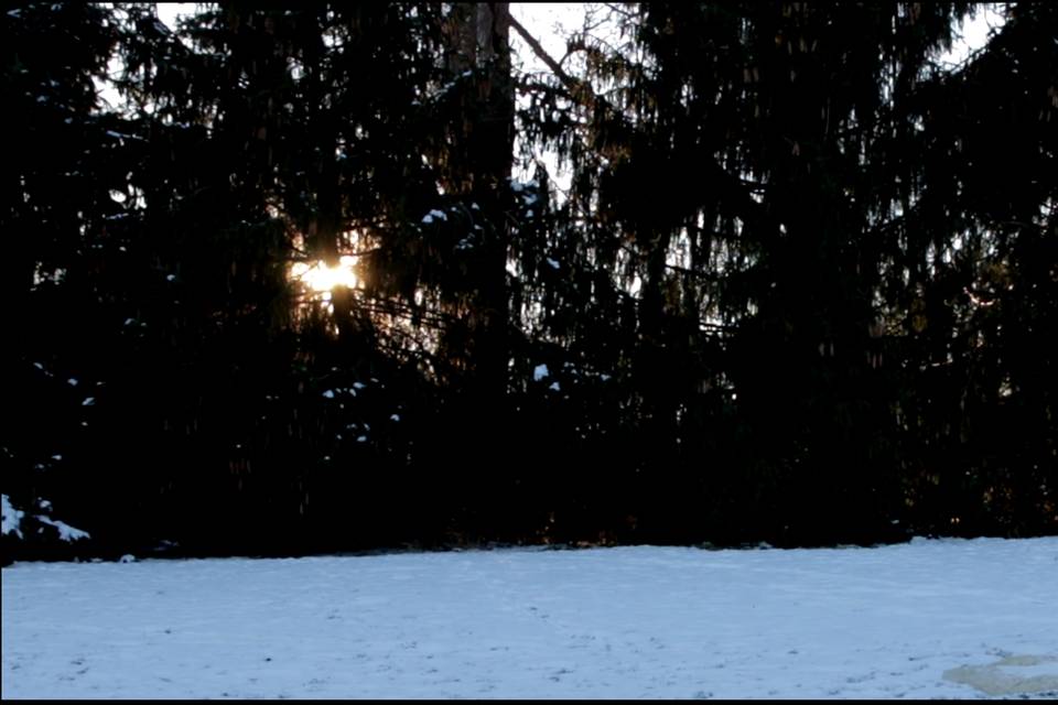 Winter wedding