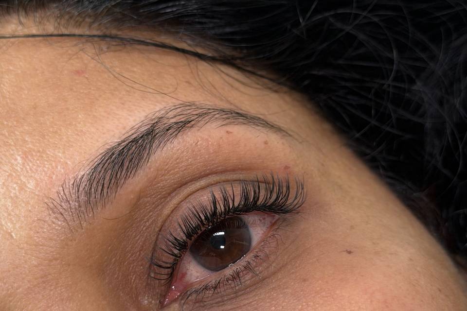 Classic / Wet Set Lashes