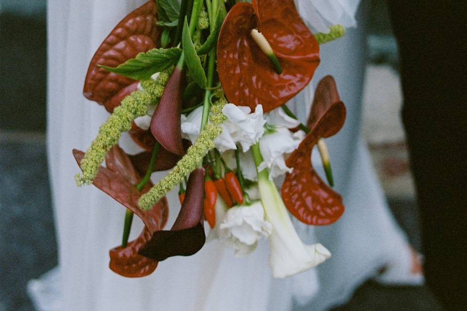 Edinburgh elopement