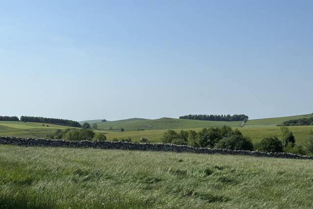 View from Field