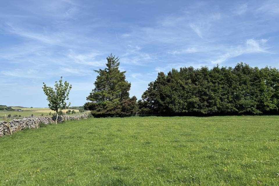 Field