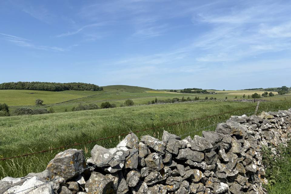 Field