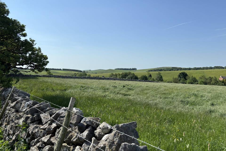 View from Field