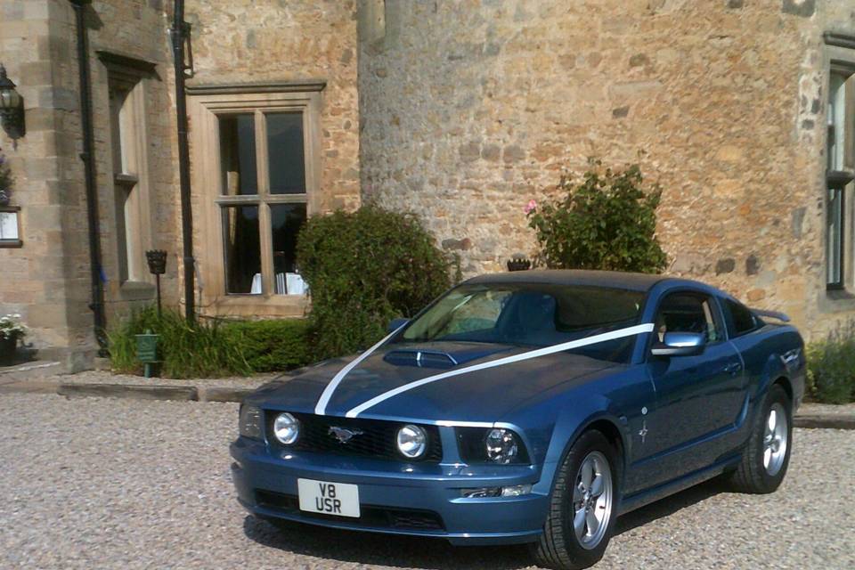 Sleek, modern V8 blue Mustang