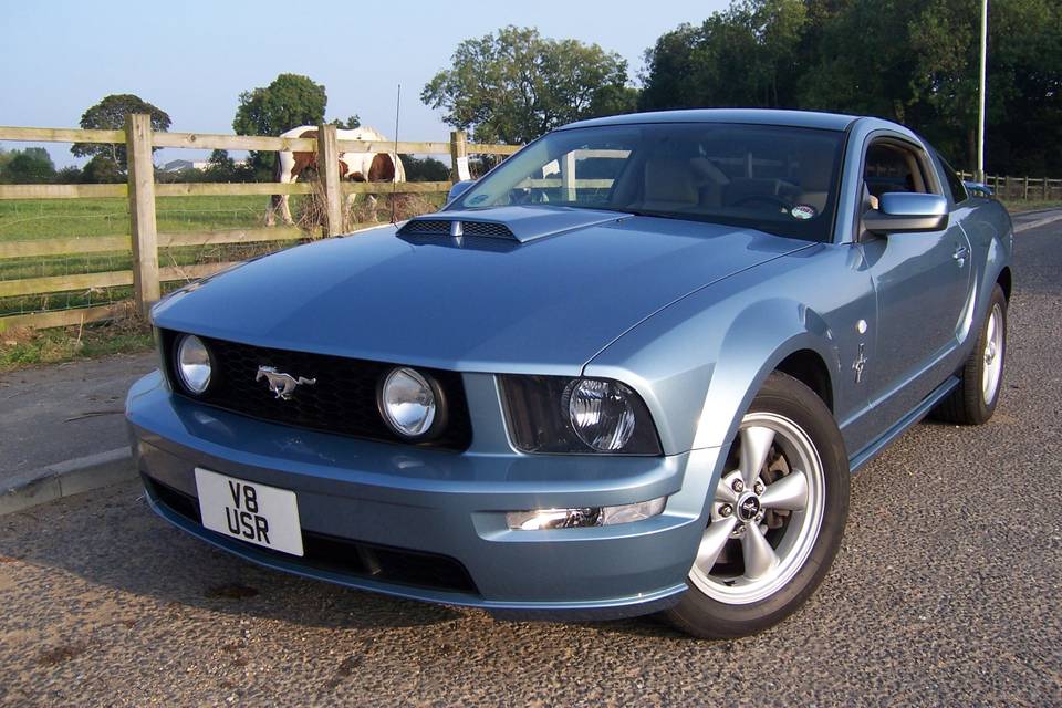 American V8 Mustang GT