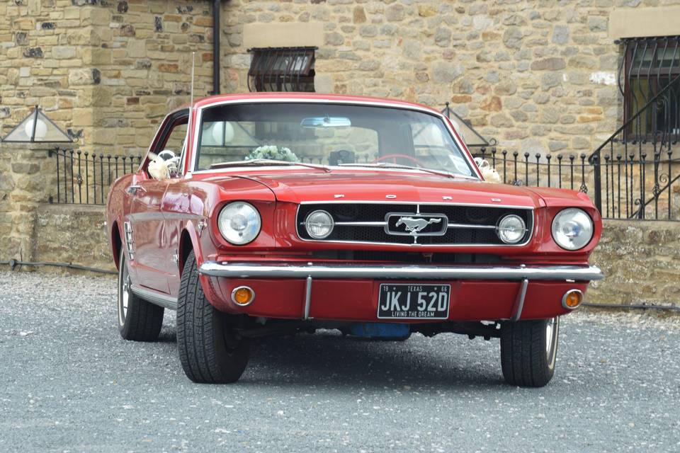 Newly weds and Mustang