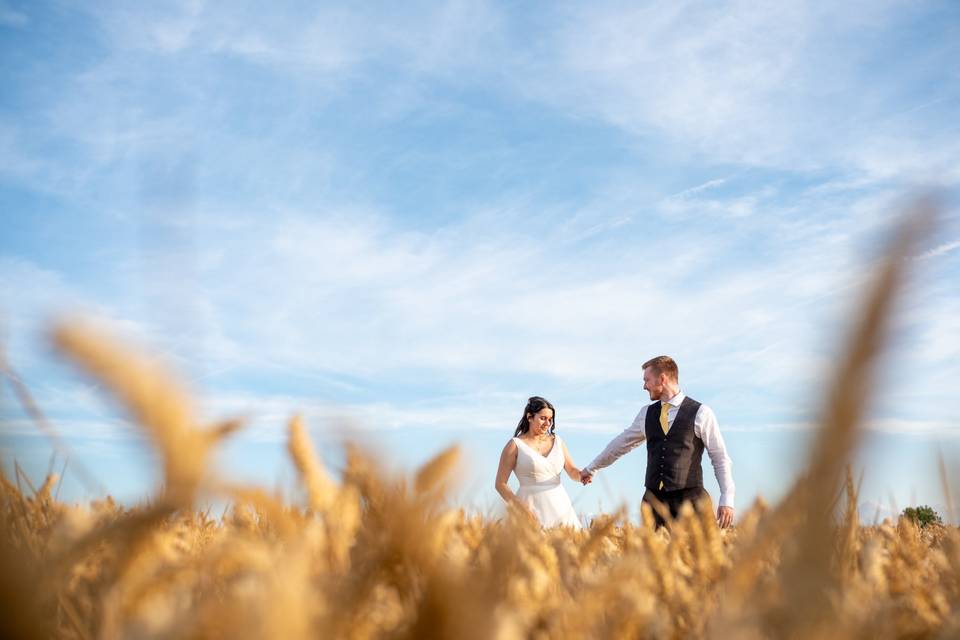 Wheat field