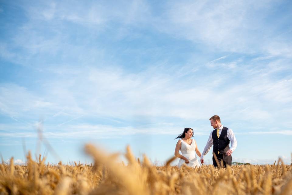 Wheat field