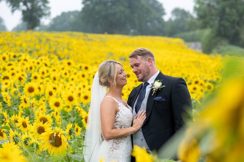 Sunflowers on a rainy day