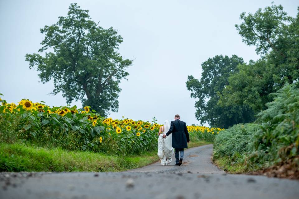 Sunflowers on a rainy day