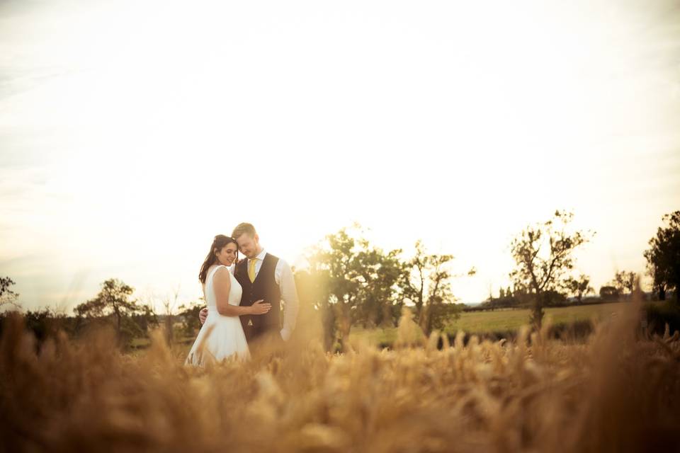 Wheat field