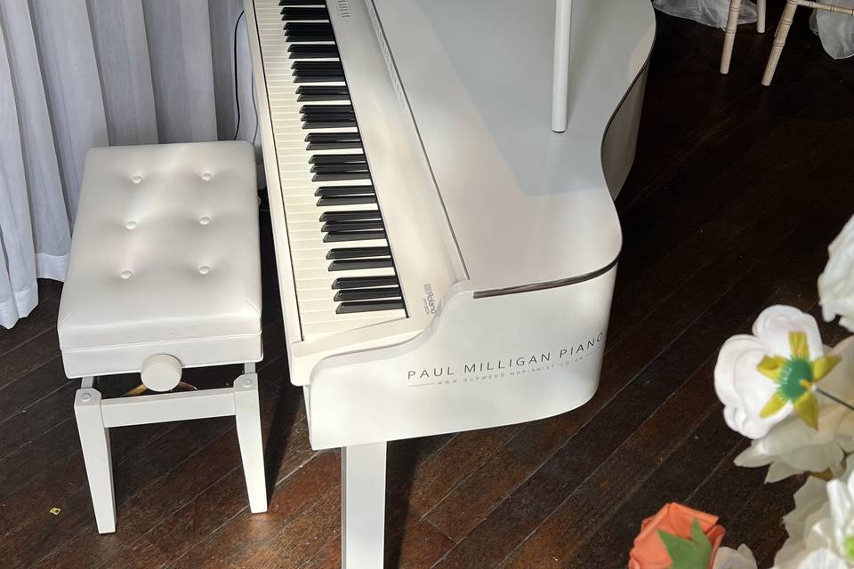 Paul Milligan Piano
