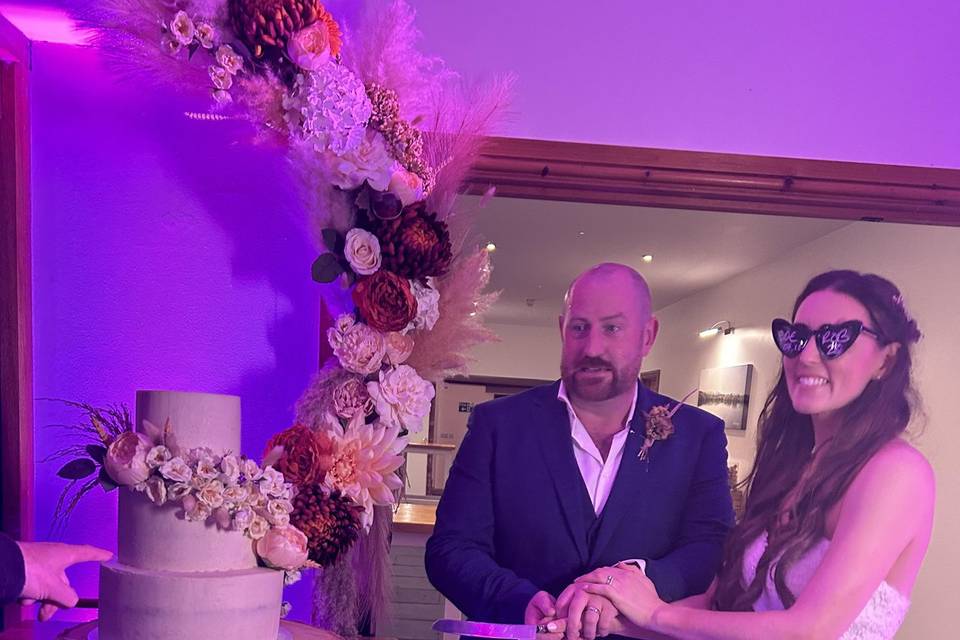 Cake cutting