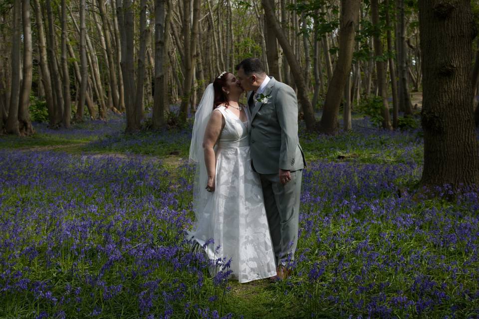 Bluebell fields