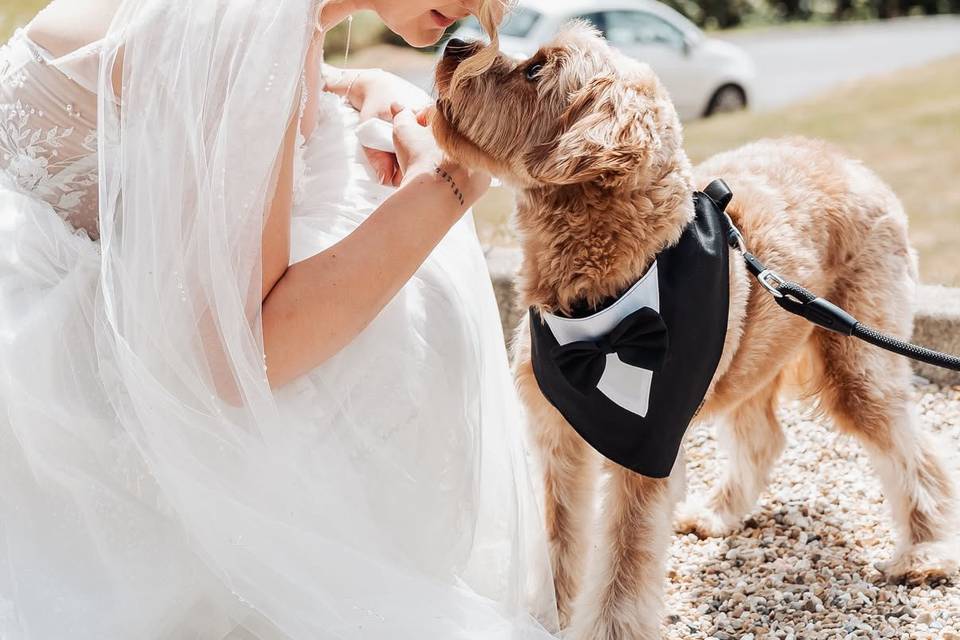 Lauren & Andrew 26.07.26