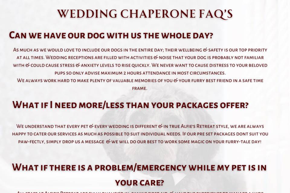 Dog Wedding Chaperone FAQs