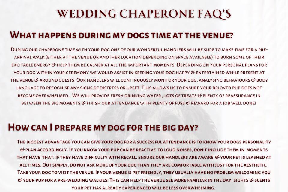 Dog Wedding Chaperone FAQs