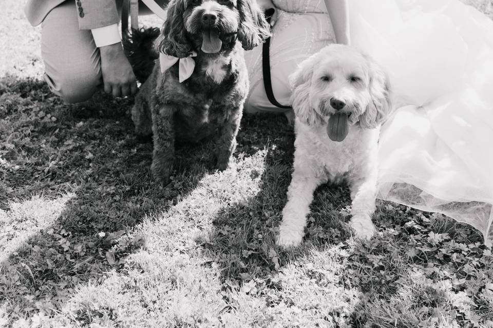 Nadine & Aron 21.08.25