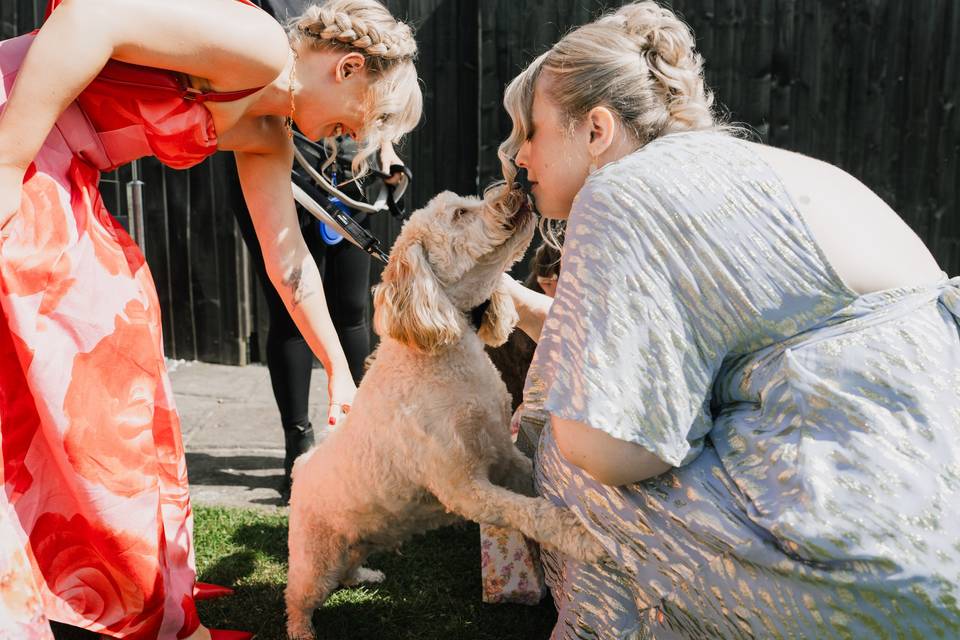 Katie & Michael 31.07.25