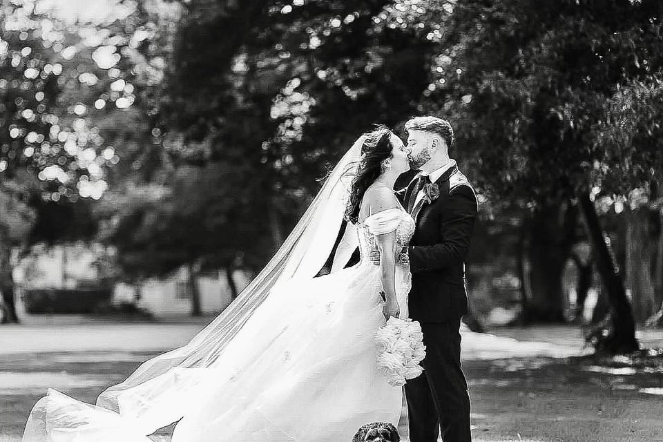 Dog Wedding Chaperone Bride