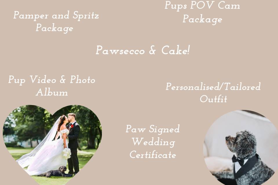 VIP Dog Wedding Chaperone