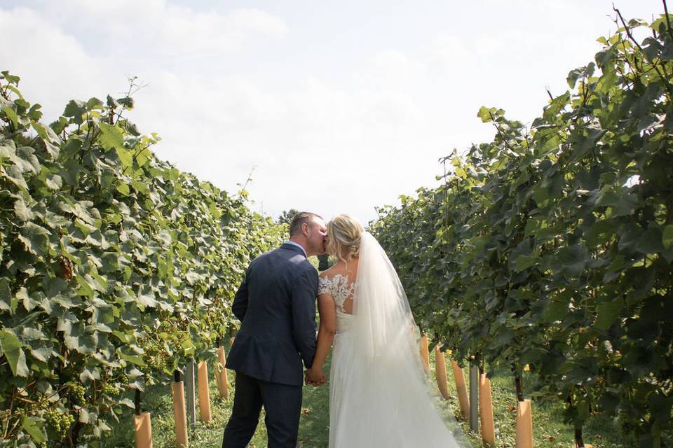 Vine View Barn