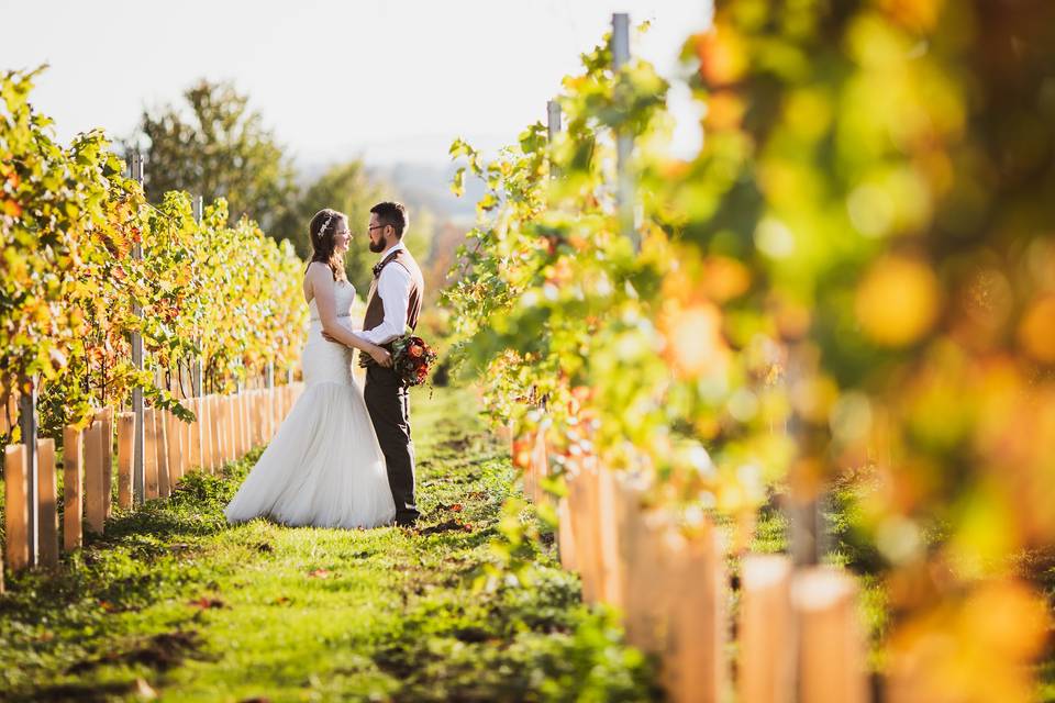 Vine View Barn