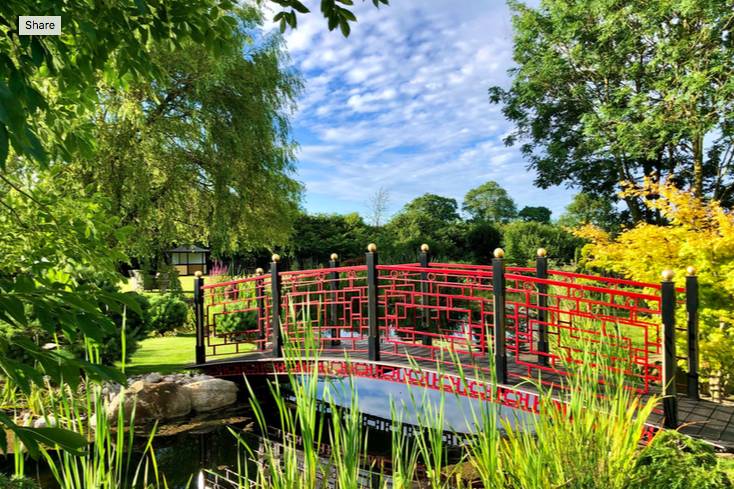 Dreams are made on this bridge