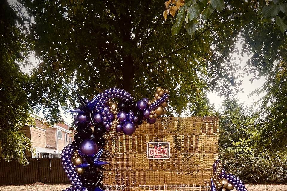 Balloon Decor/shimmer wall