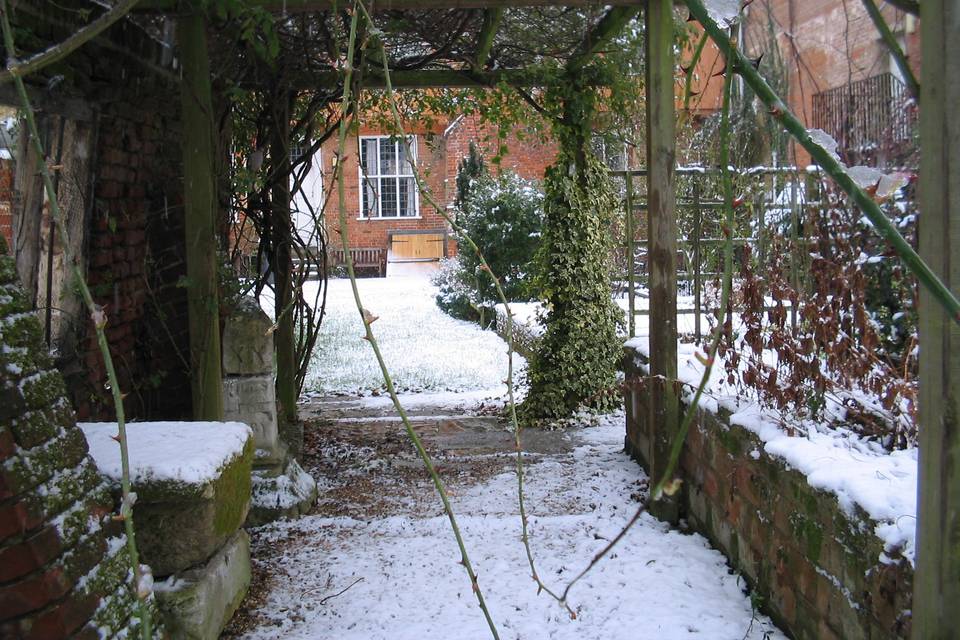 Garden in Winter