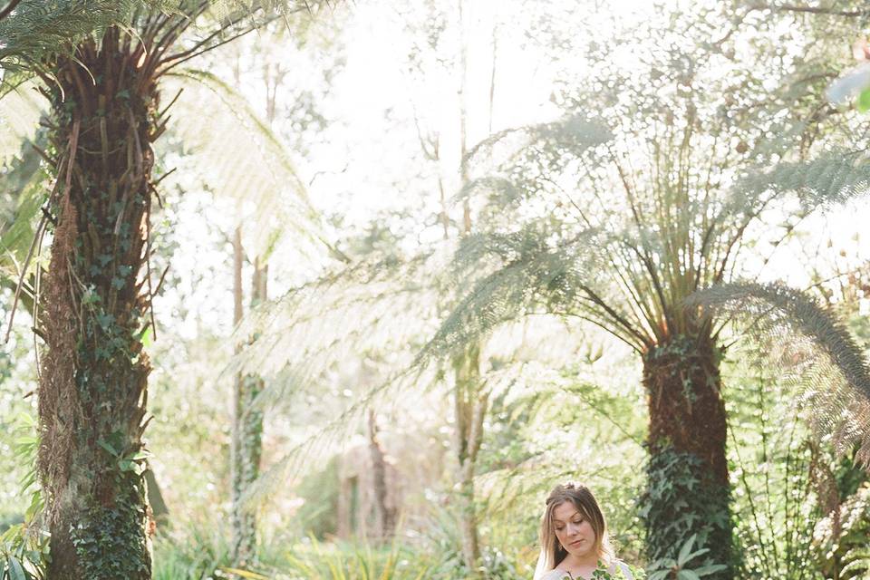 In the Jungle