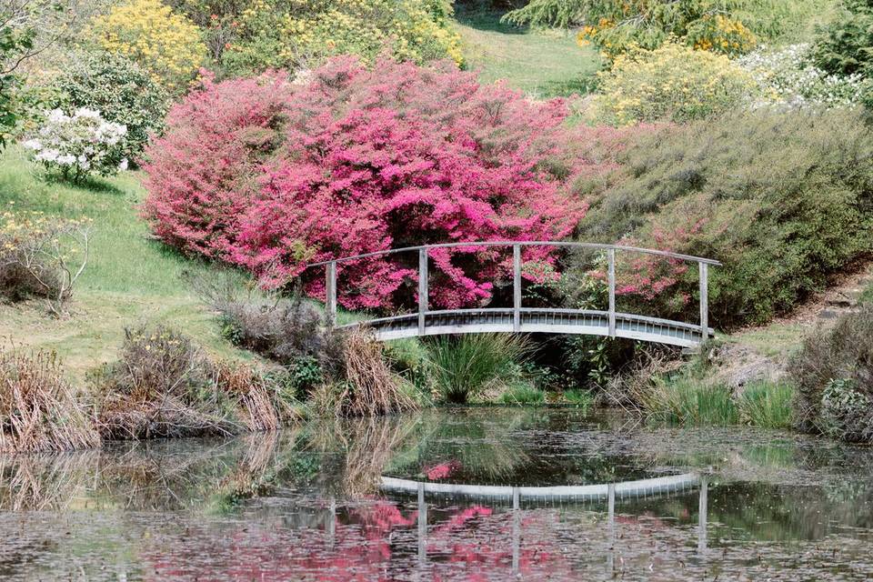 ROmantic gardens