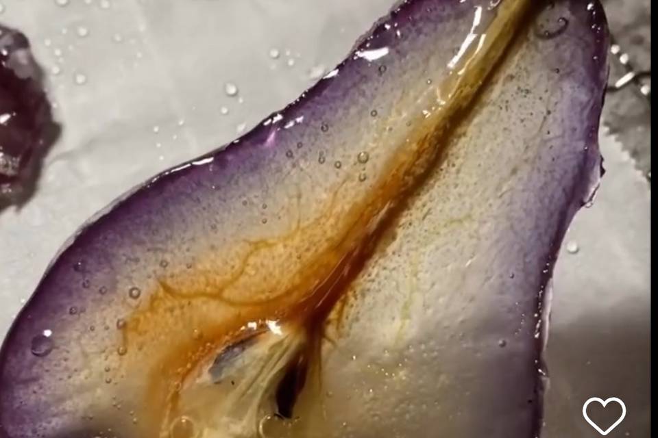 Blue Flower Tae Poached Pear