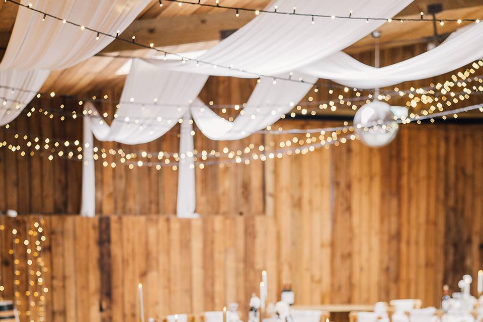 Dandrew Photography