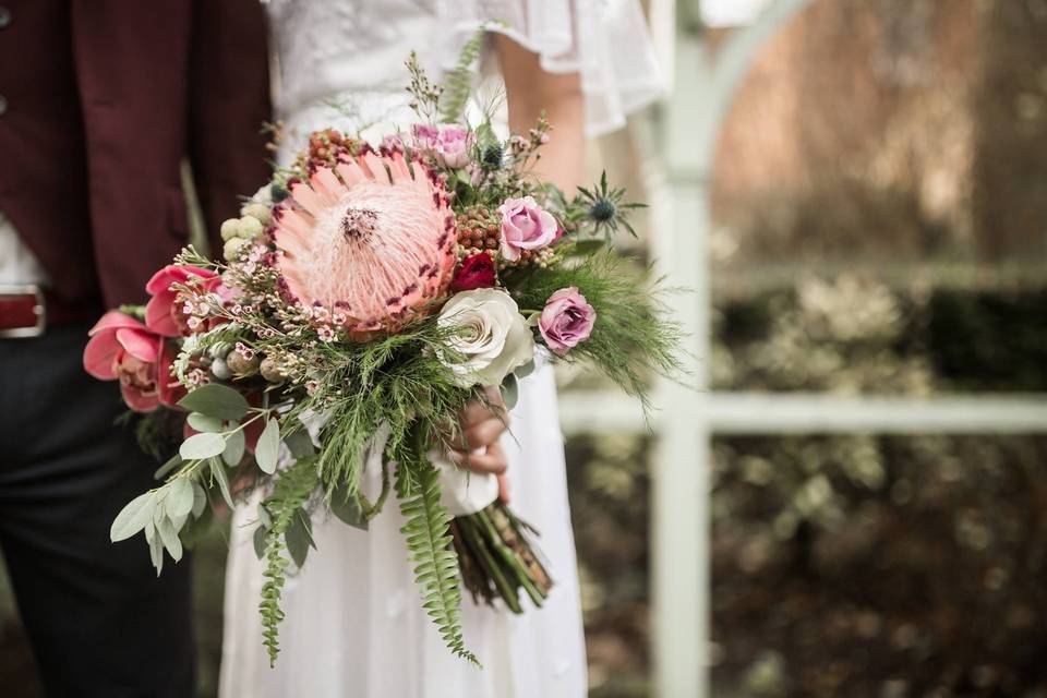 Dusky Pink Protea