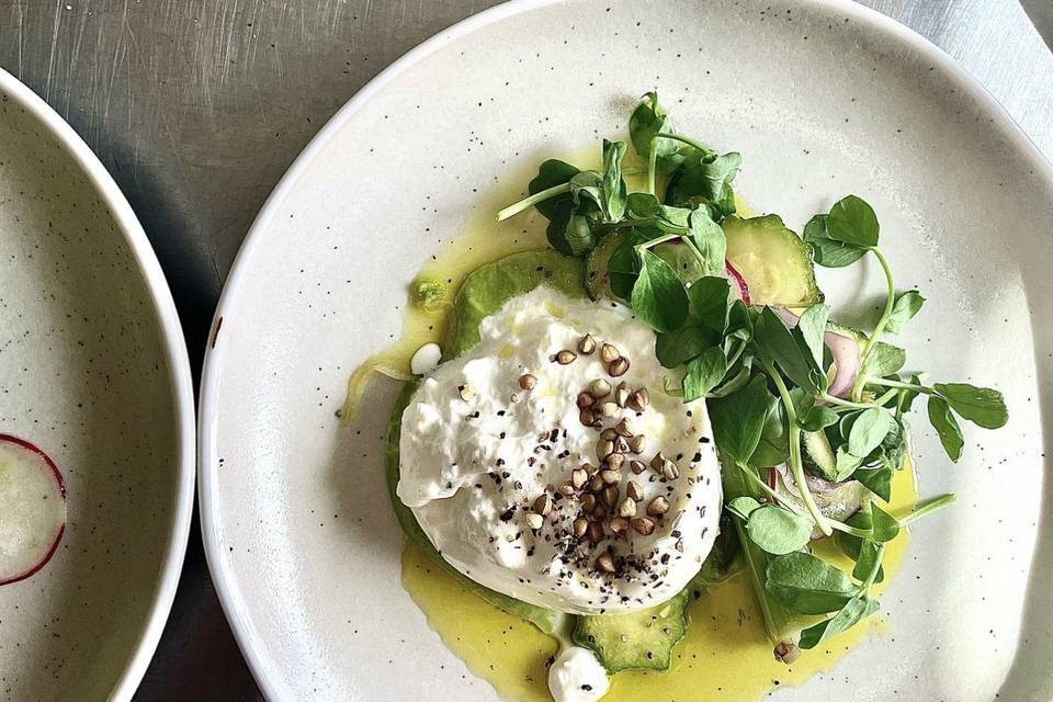 Burrata served