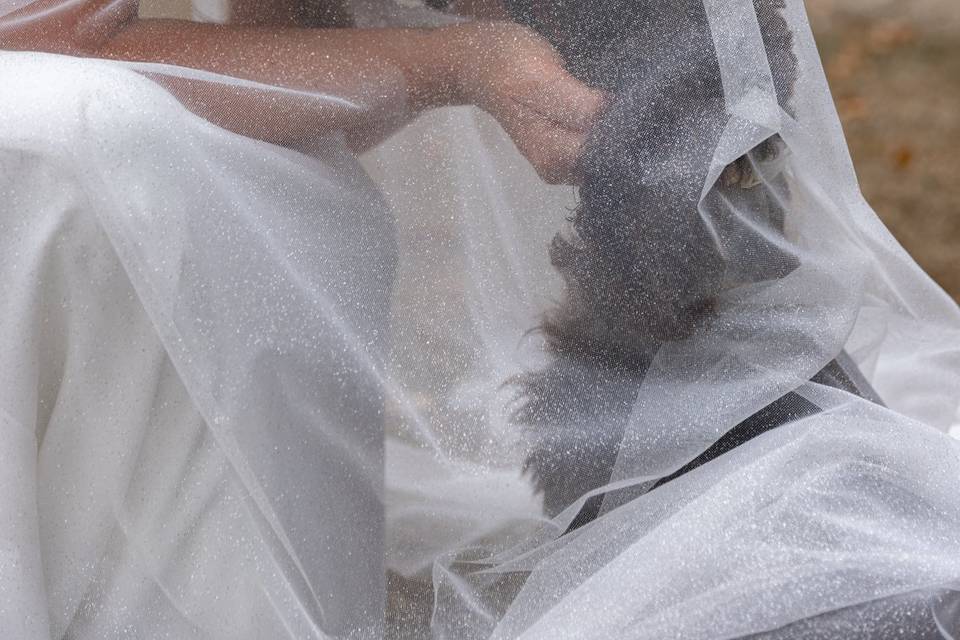 Dog under the veil