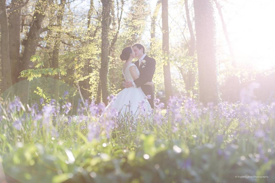 In the Bluebells