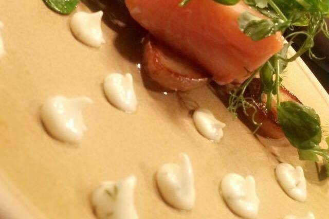 Cured Salmon