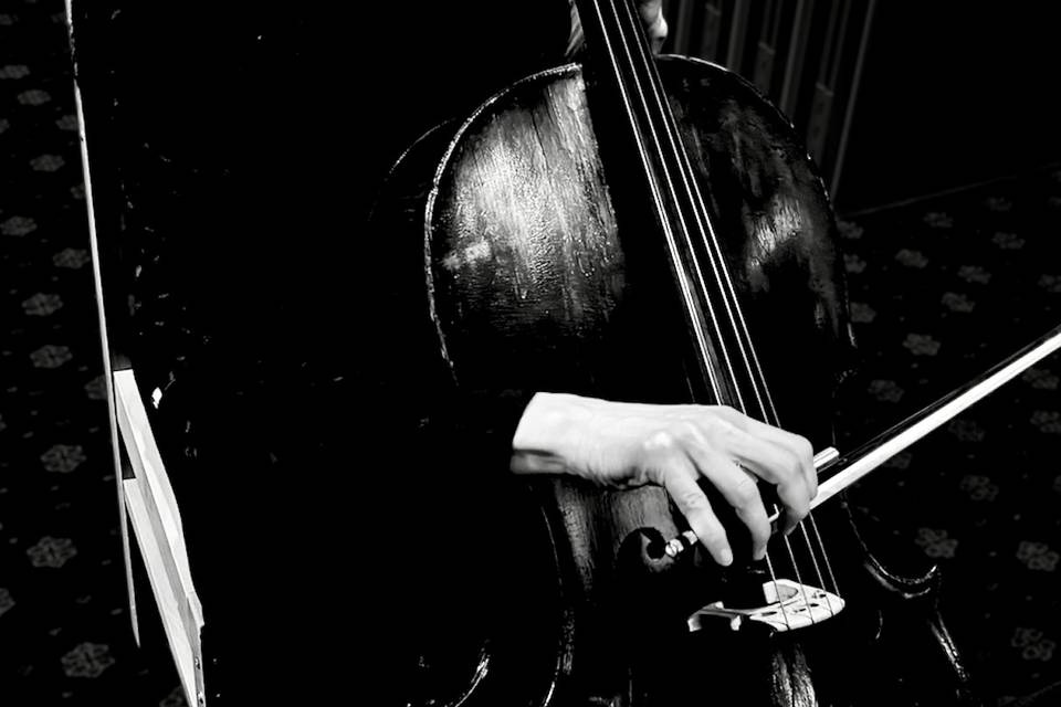 Solo Cellist