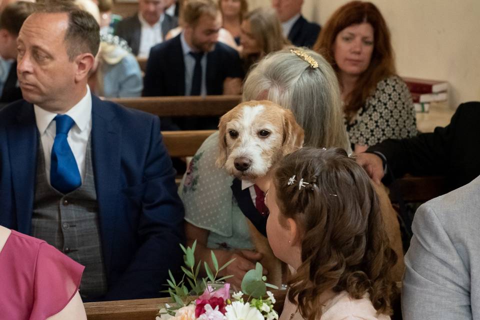 Wedding album
