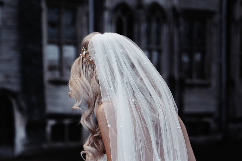 Bride veil