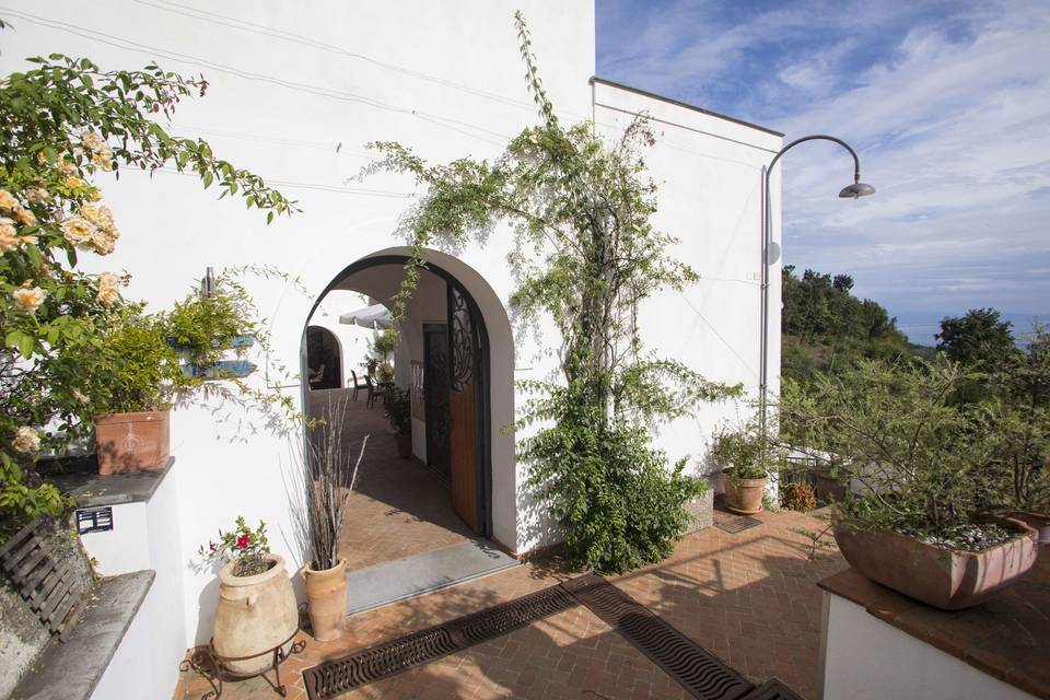 Greenery and arched walkway