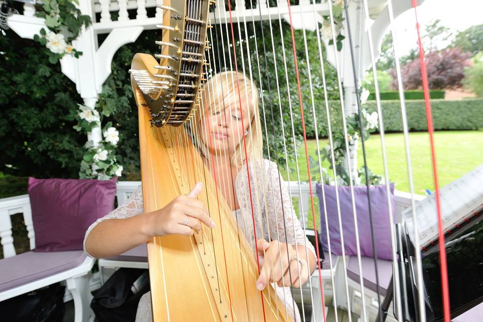 Nicola Veal - Harpist