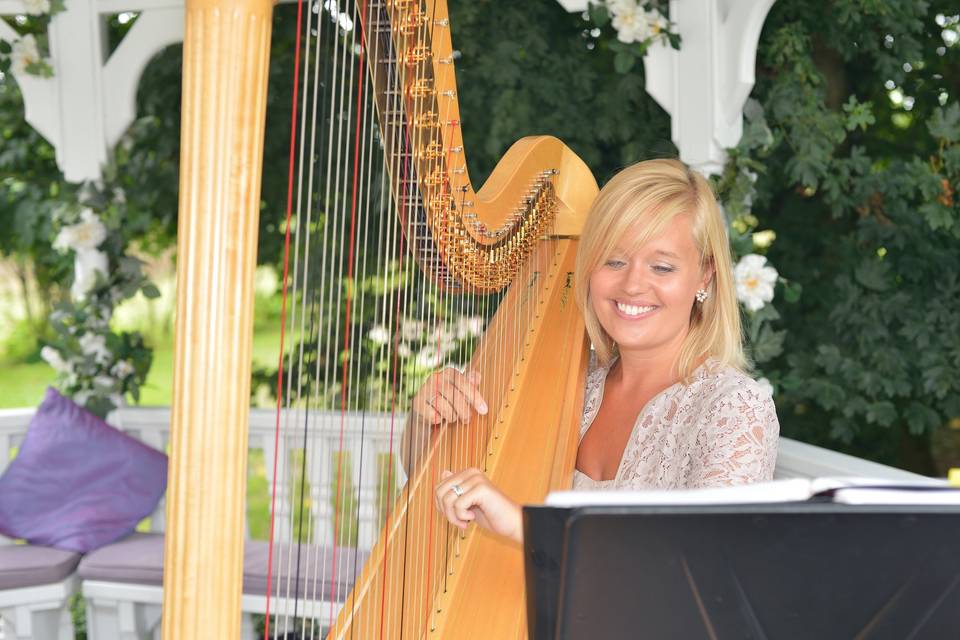 Nicola Veal - Harpist