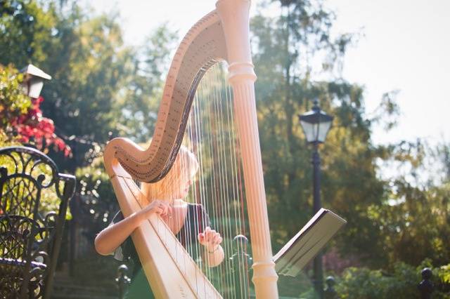 Nicola Veal - Harpist