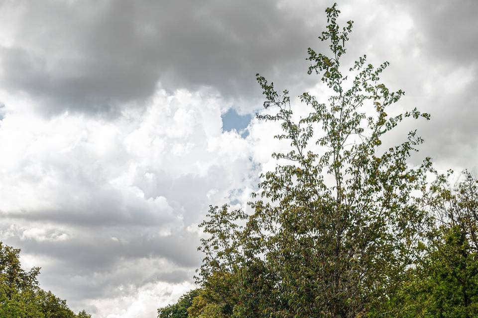 Luxury vehicle arrival shot