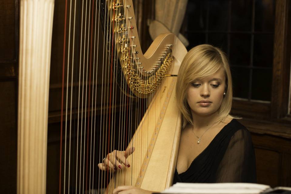 Nicola Veal - Harpist